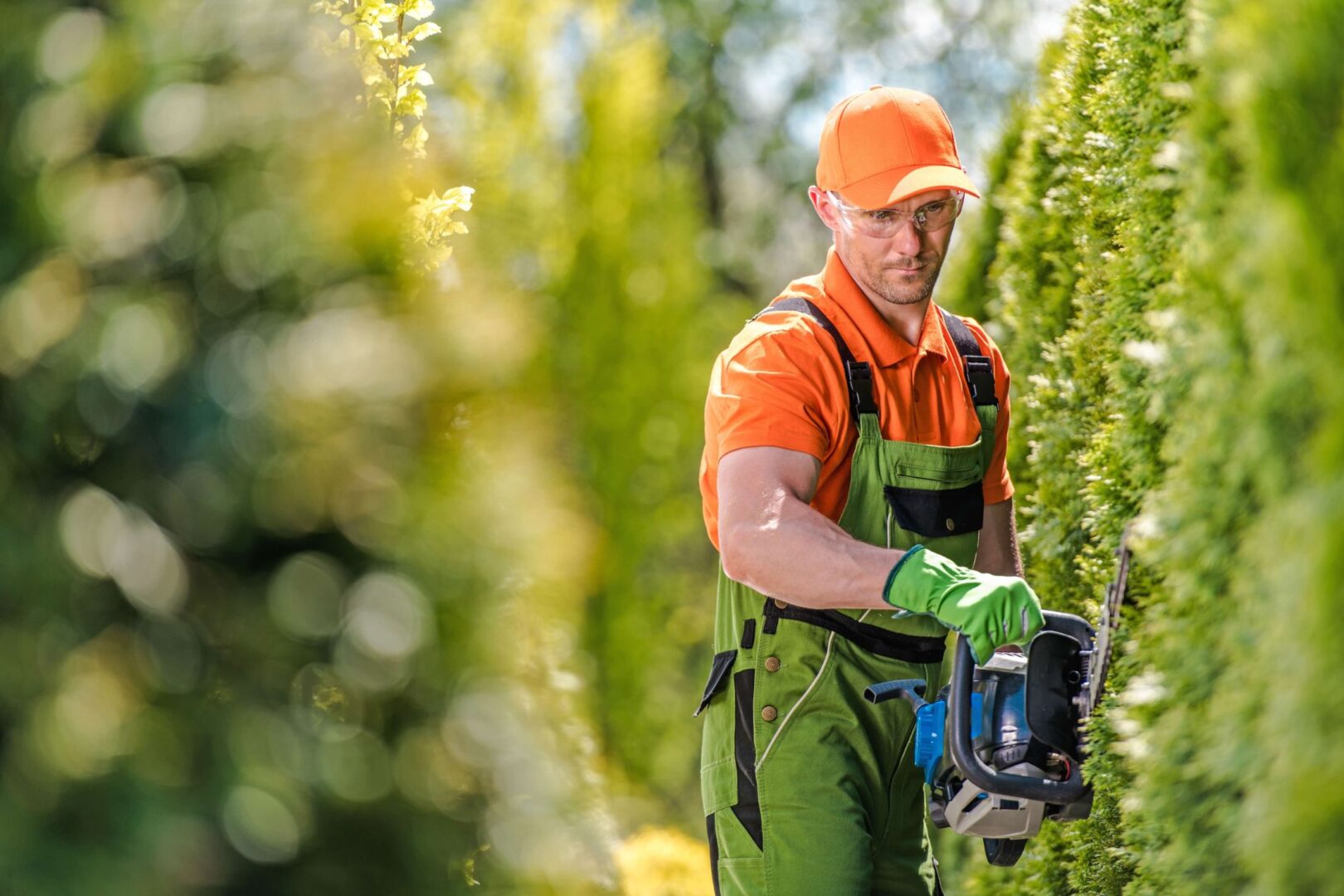 Landscaper Trimming Hedges