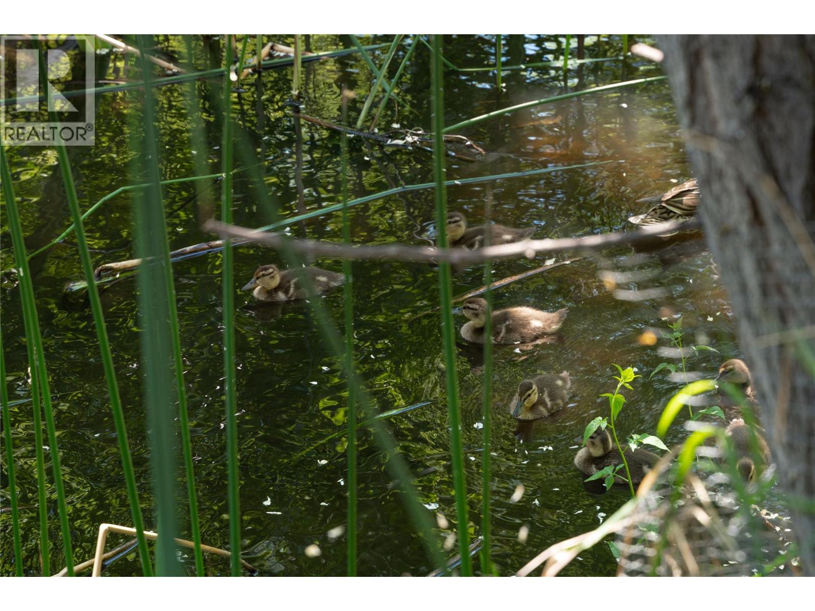 311 877 KLO Road, Kelowna