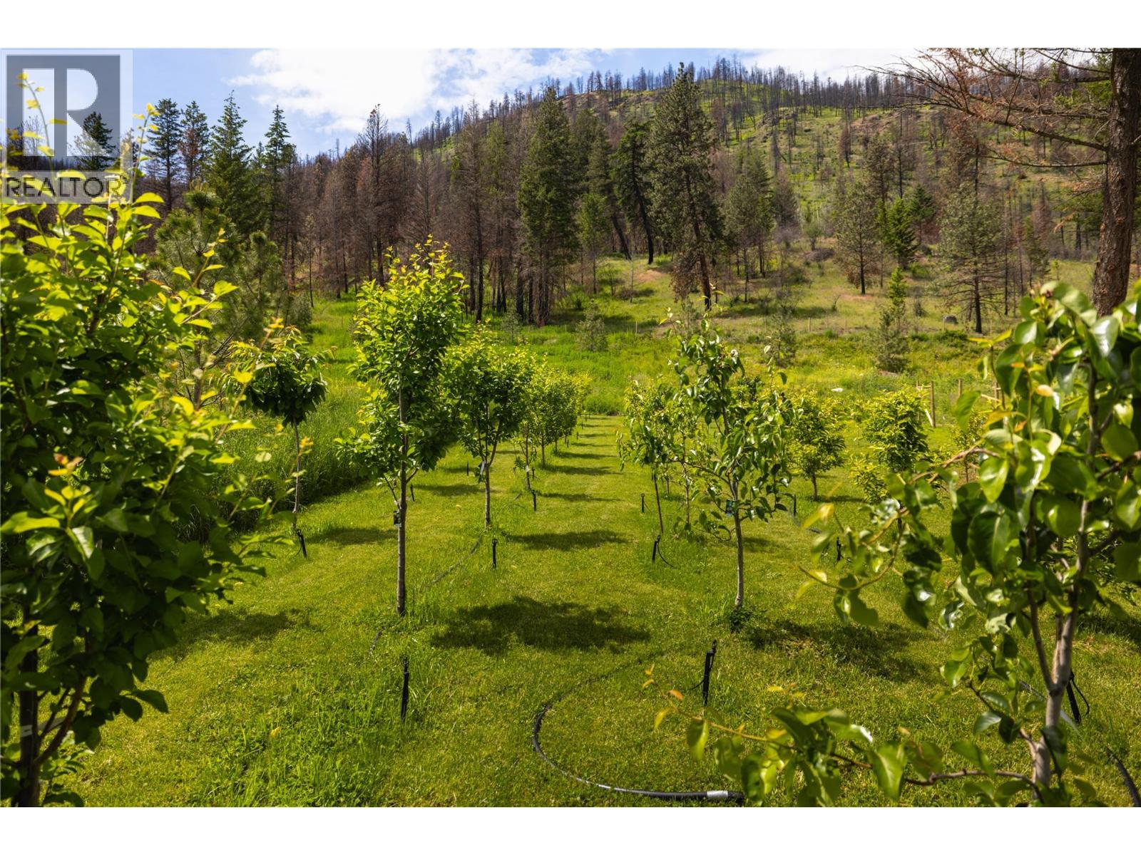 5 1750 Westside Road North, Kelowna